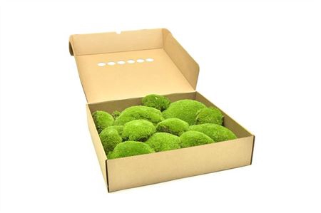 <h4>Bolmos Gepreserveerd Ca. 0.16 M2</h4>