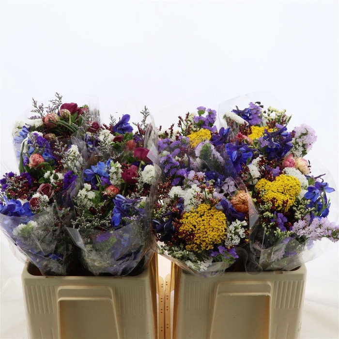 <h4>Gemengd boeket Zomerboeket overig</h4>