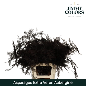 Asp Extra Veren Aubergine