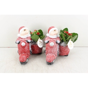 arr. PL - Ker. motor - rood
