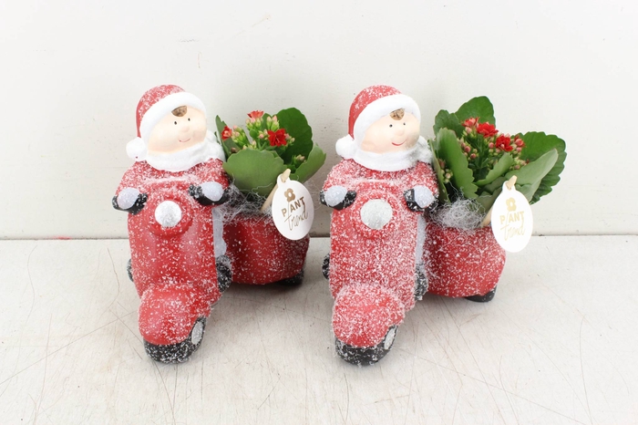 arr. PL - Ker. motor - rood