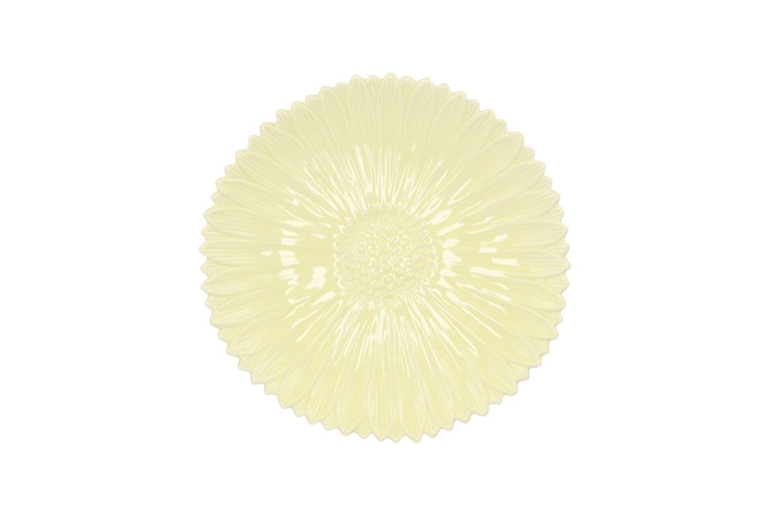 Bloom Daisy Plate Yellow 17x17x4cm
