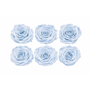 Ro Pres Classic Blue Light