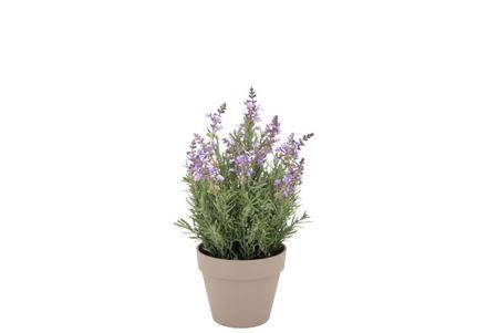 <h4>Silk Lavender Purple Pot Terra S 17x17x23cm</h4>
