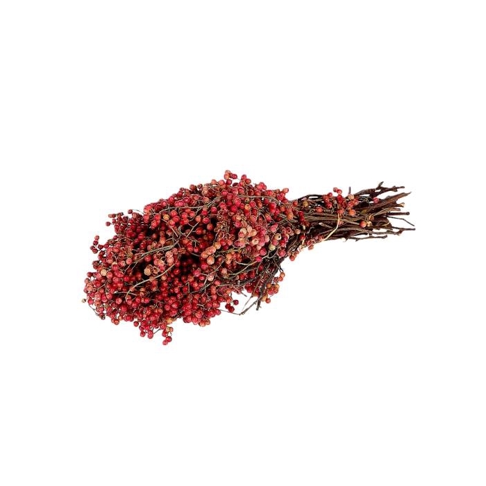 <h4>Bunch Pepperberries 200g B L35</h4>