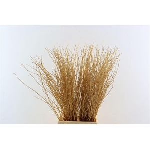 Berk 70cm Gl Antiek Goud Pbs