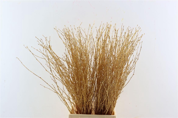 <h4>Berk 70cm Gl Antiek Goud Pbs</h4>