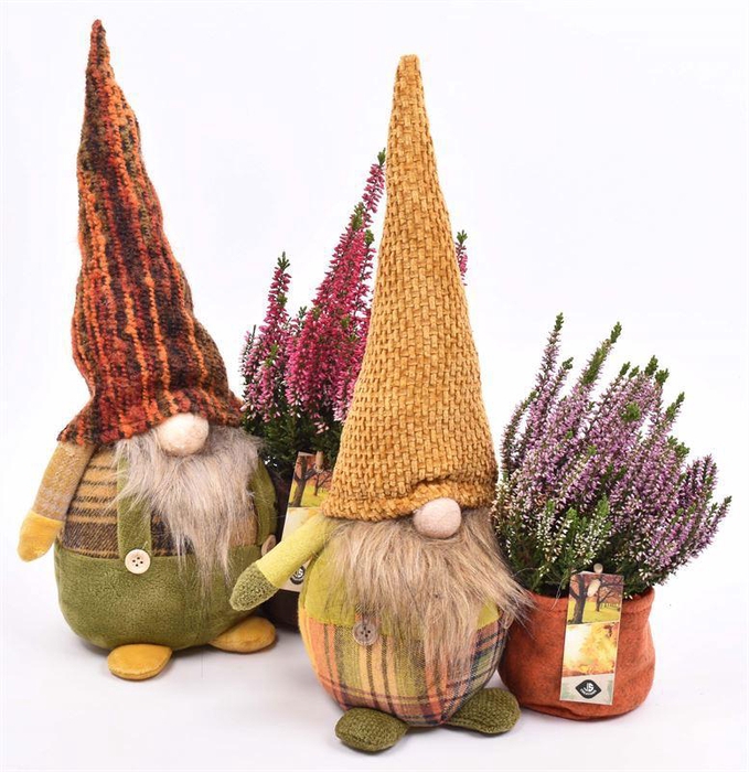 <h4>Gnoom herfst 24x14cm</h4>