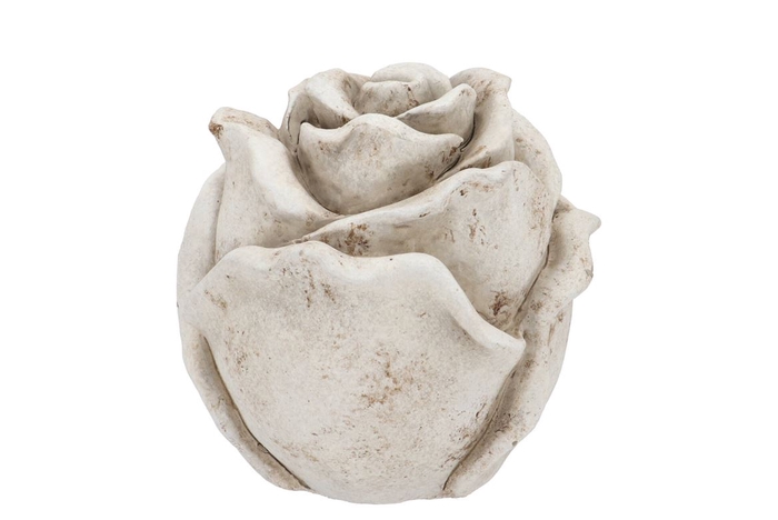 <h4>Concrete Antique Rose 13x13x13cm</h4>