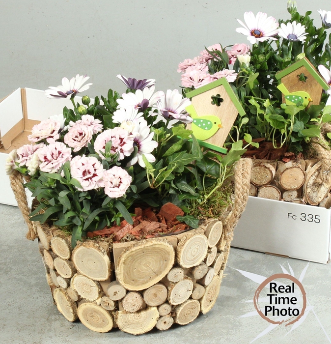 <h4>ARR TUINPLANTEN</h4>