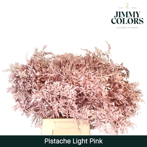 Pistache L50 Klbh. Licht roze
