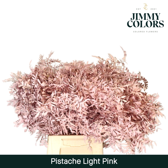 <h4>Pistache L50 Soft pink</h4>