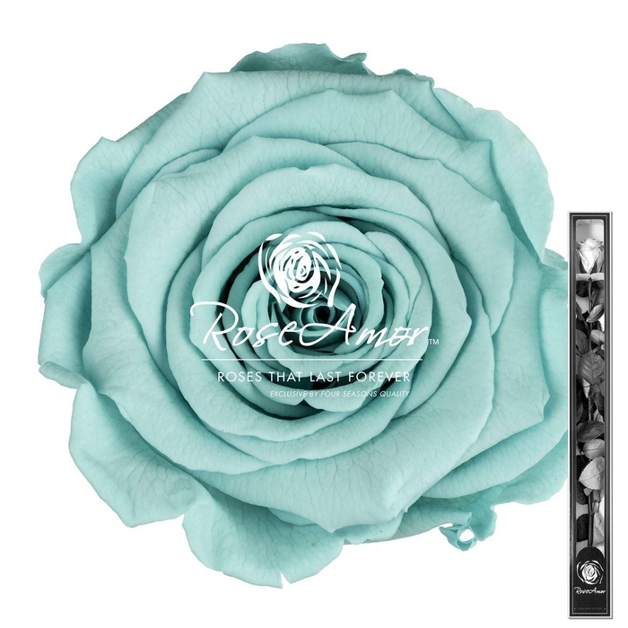 <h4>60cm Stem Blu02</h4>