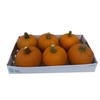 Sier Cuc P Halloween X9