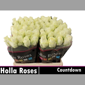 R GR COUNTDOWN!