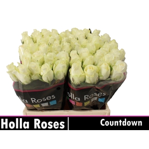 R GR COUNTDOWN!