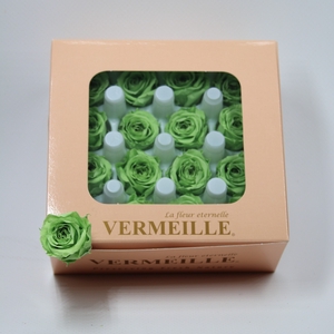 Rose Ava Lime Green