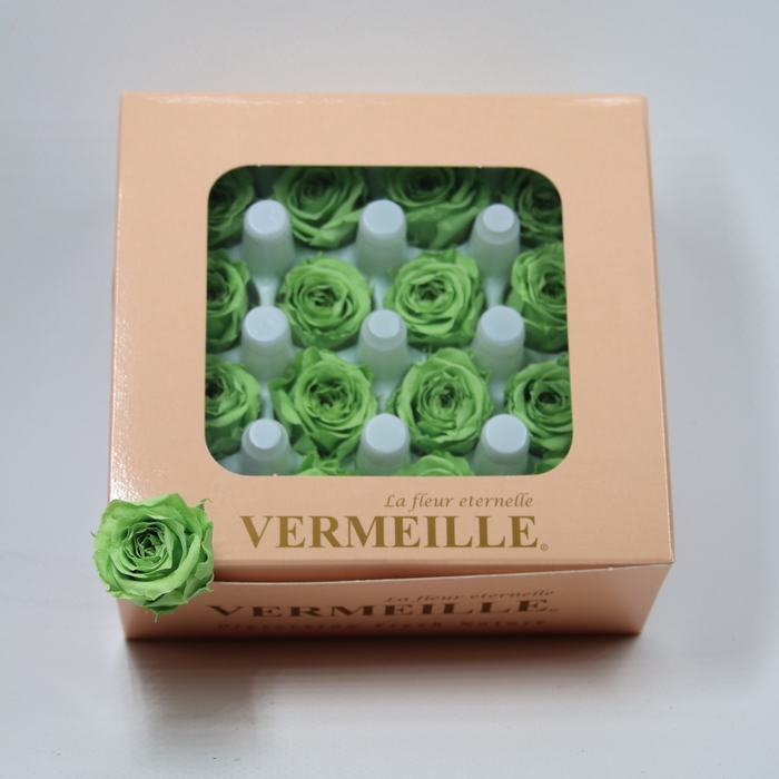 <h4>Rose Ava Lime Green</h4>