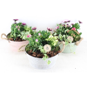 arr4 Outdoor PL - Zink ton vintage mix oor