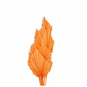 Dried Palm Spear 10pc Salmon Bunch