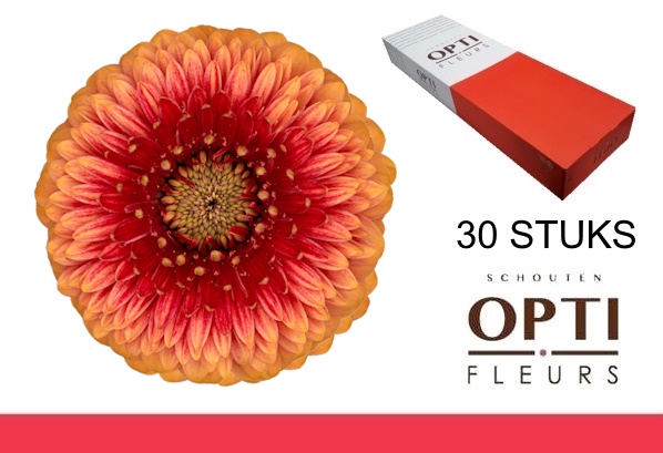 <h4>GE MB POM BEAKER-Doosx30</h4>