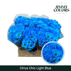 Chrys tros Chic Light blue