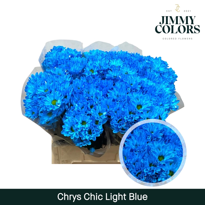 <h4>Chrys tros Chic Light blue</h4>