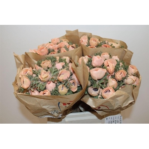 Anem Marianne Powder Orange