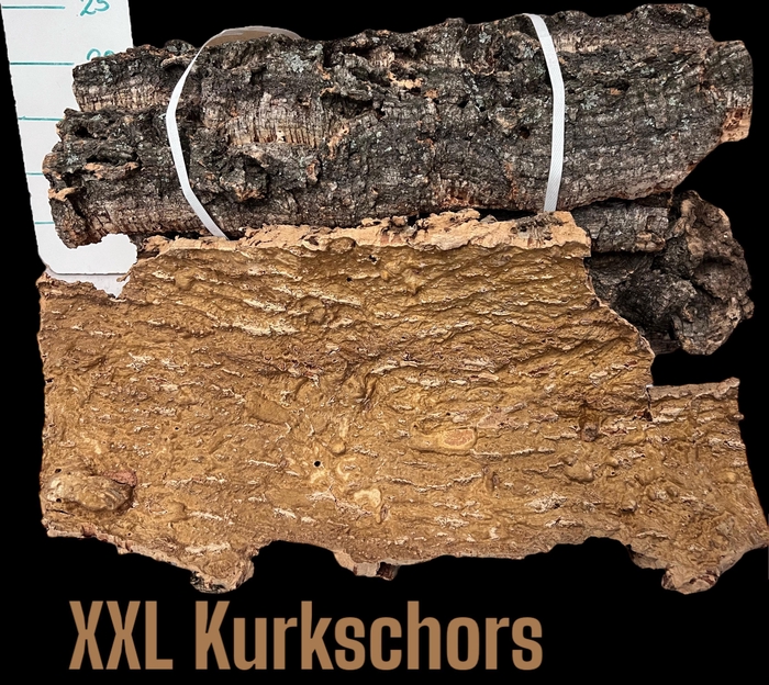 <h4>HUIS EN TUINDECO H%</h4>