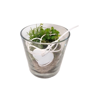 Arrangement Cil. verre + jute mini vert mix