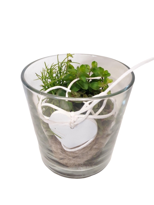 <h4>Arrangement Cil. verre + jute mini vert mix</h4>