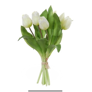 AF Tulip Bundle x7 L30cm White