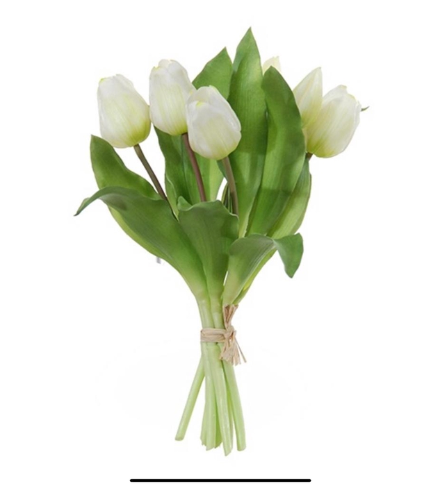 <h4>AF Tulip Bundle x7 L30cm White</h4>