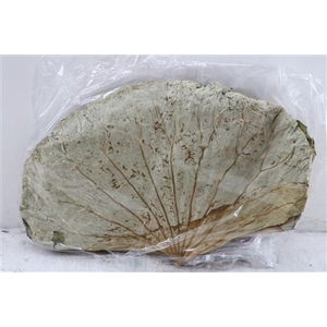 Deco Basic Lotus Leave 35gr Extra 10pcs/bag