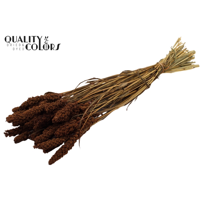 <h4>Gierst per bunch Brown</h4>