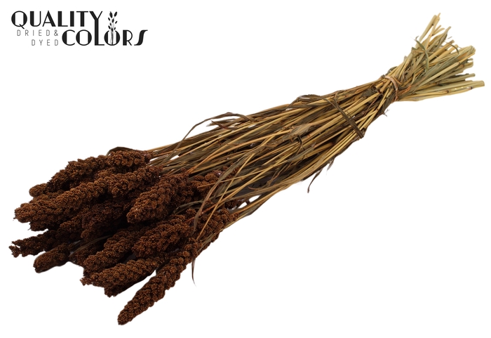 <h4>Gierst per bunch Brown</h4>