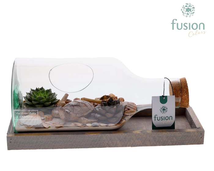 <h4>Green Bottle Fles Small liggend Maritiem met Succulenten</h4>