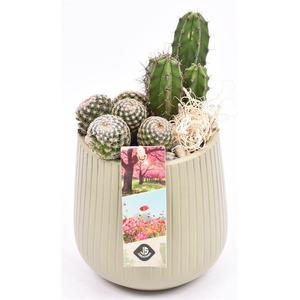 Keramiek vert.lines khaki mat 12cm