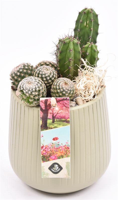 <h4>Keramiek vert.lines khaki mat 12cm</h4>