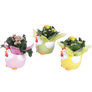 Easter Arr. Indoor Ceramic Colorful Chicken Mix Ø17cm 1PP