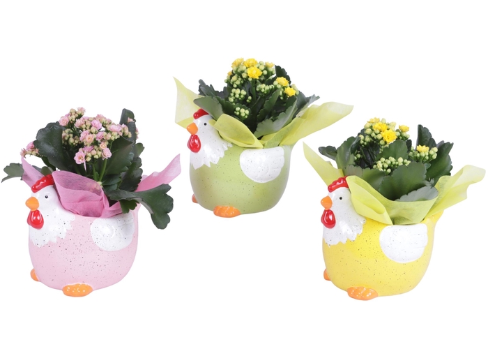 <h4>Easter Arr. Indoor Ceramic Colorful Chicken Mix Ø17cm 1PP</h4>