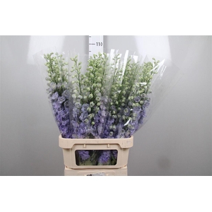 Delph Du Lavender Love