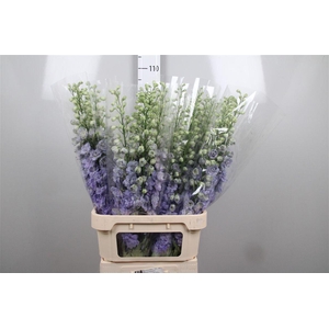 Delph Du Lavender Love