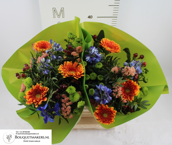 <h4>GEM BOEKET OV</h4>