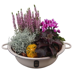 Arr.   Tuinplanten L%