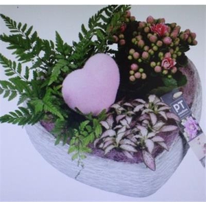 2291 ROZE HART BETON