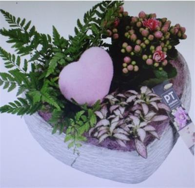 <h4>2291 ROZE HART BETON</h4>