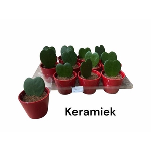 ARR KAMERPL GROEN H%