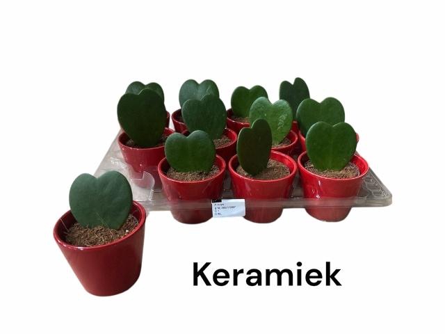 <h4>ARR KAMERPL GROEN H%</h4>