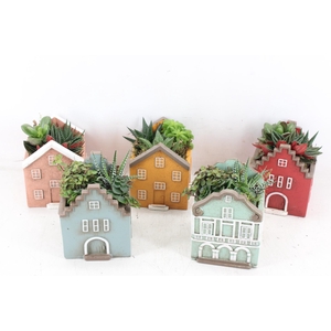 arr3 SN - Casa scandinavian groot